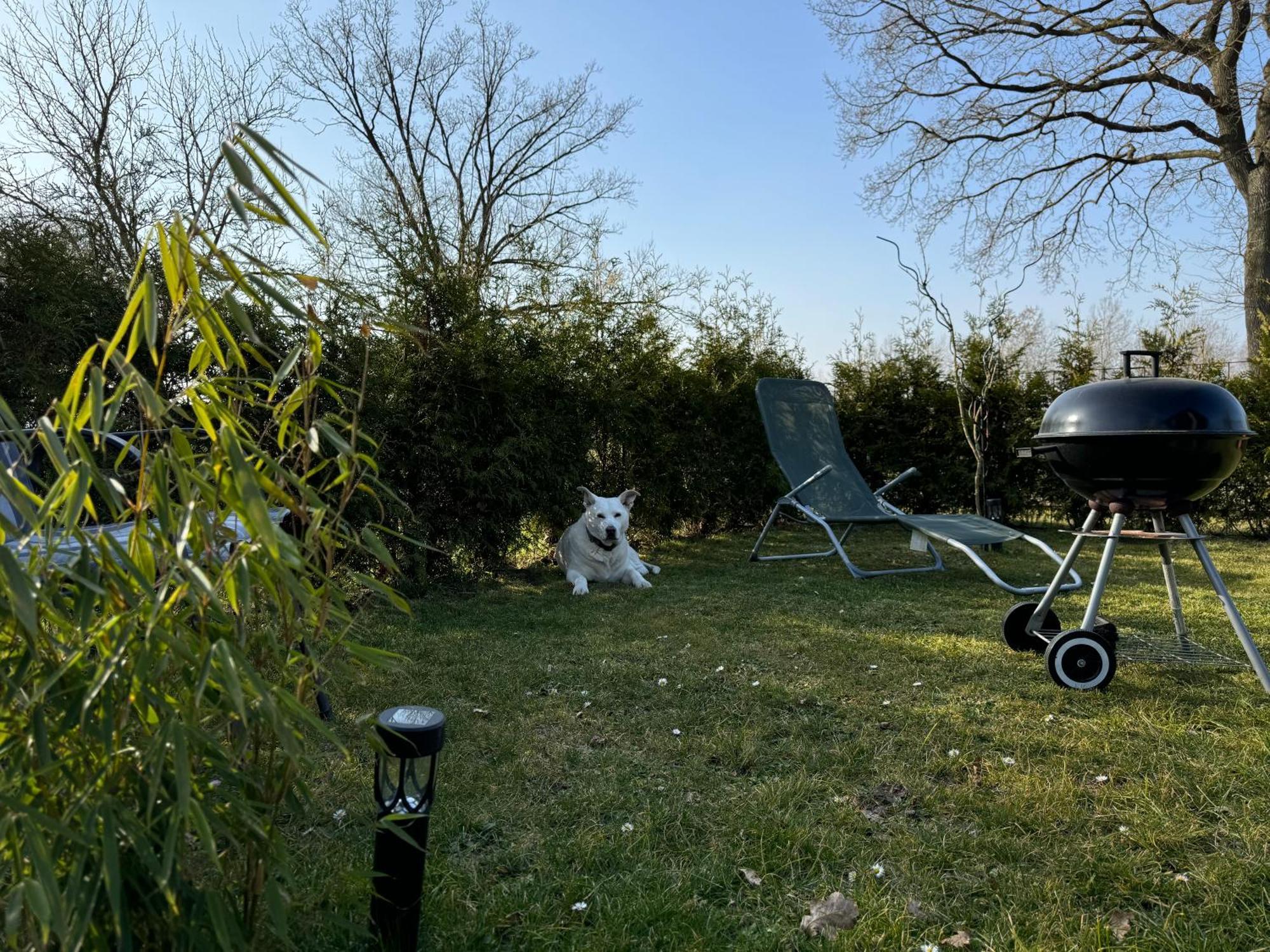 Ferienwohnung Am See Dillich - Ruhige Lage - Eigener Garten - Direkt Neben Einem Natursee Borken  Esterno foto