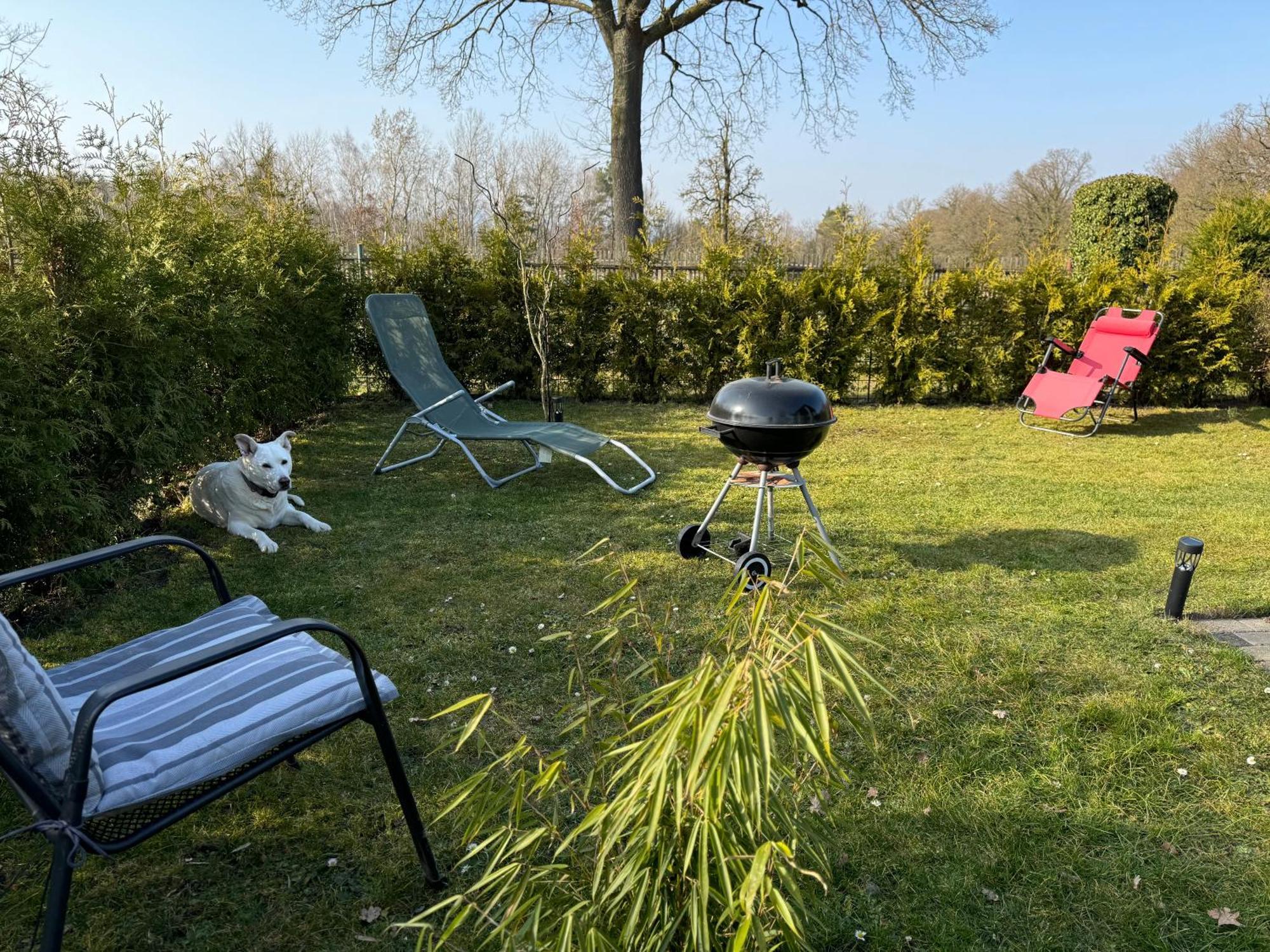 Ferienwohnung Am See Dillich - Ruhige Lage - Eigener Garten - Direkt Neben Einem Natursee Borken  Esterno foto