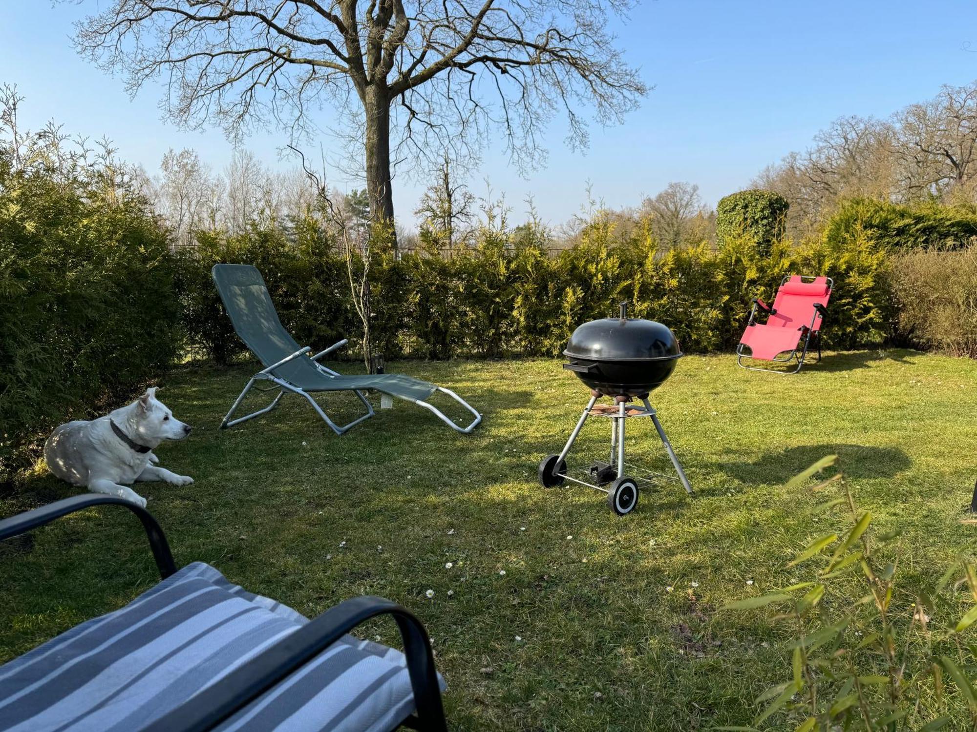 Ferienwohnung Am See Dillich - Ruhige Lage - Eigener Garten - Direkt Neben Einem Natursee Borken  Esterno foto